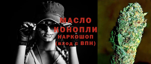 крисы Новодвинск
