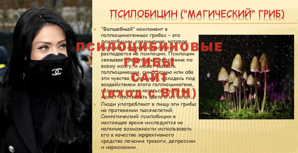 ECSTASY Переславль-Залесский