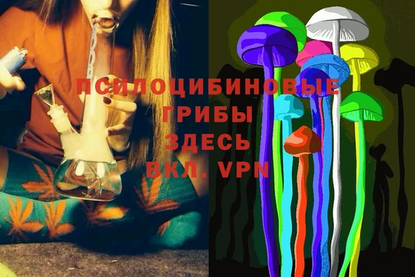 метадон Пестово