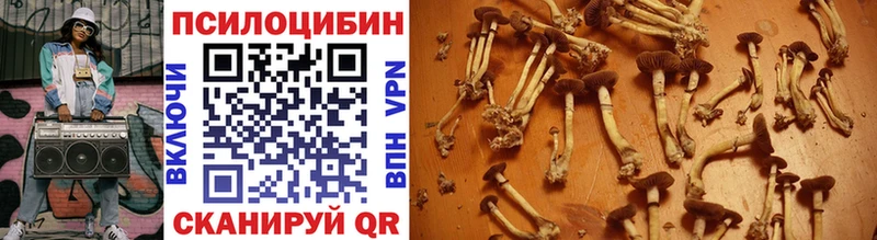 Галлюциногенные грибы ЛСД  Яранск 
